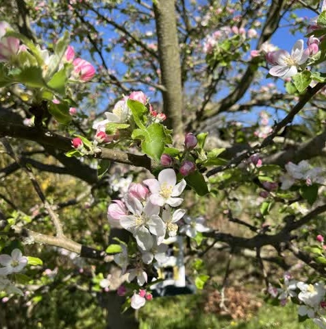 20250427_081313469_iOS-1